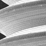 Trávíte v koupelně mnoho času kvůli problémům se zuby?