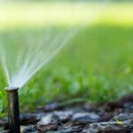 Tipy na úsporné zavlažování skleníku. Je to jednodušší, než si myslíte