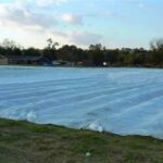 Bojíte se jarních mrazíků? Vyzkoušejte tip od zkušených zemědělců!